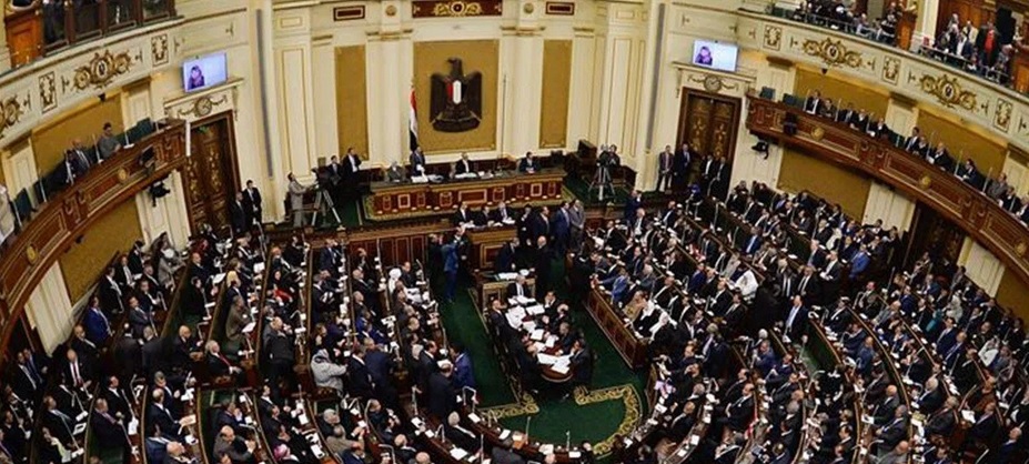 Anggota Parlemen Mesir Minta Pemerintah Awasi Aplikasi TikTok
